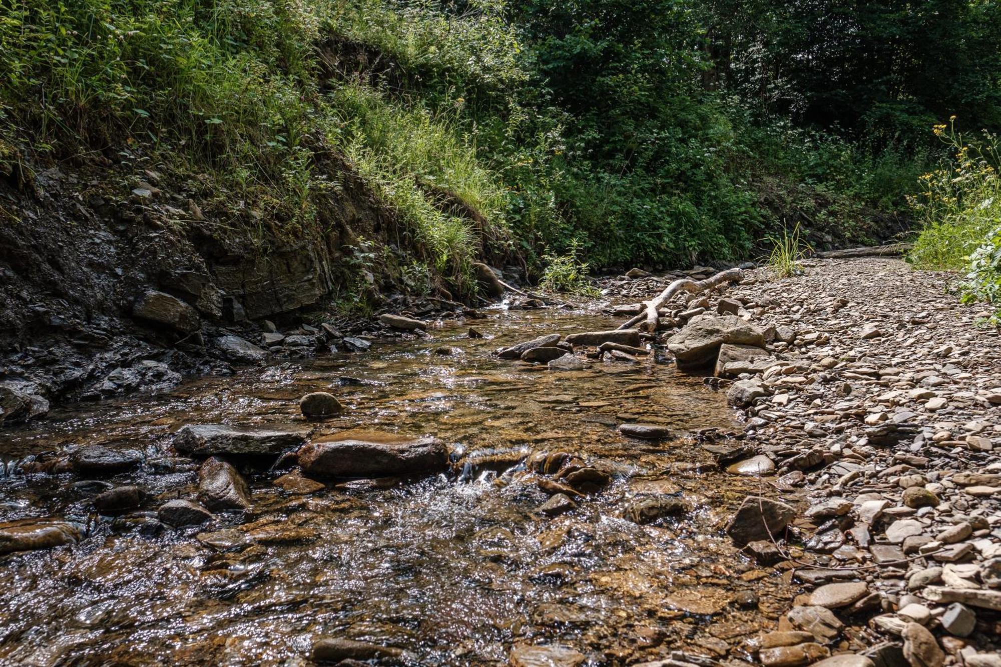 Dom Malowany Wetlina Esterno foto